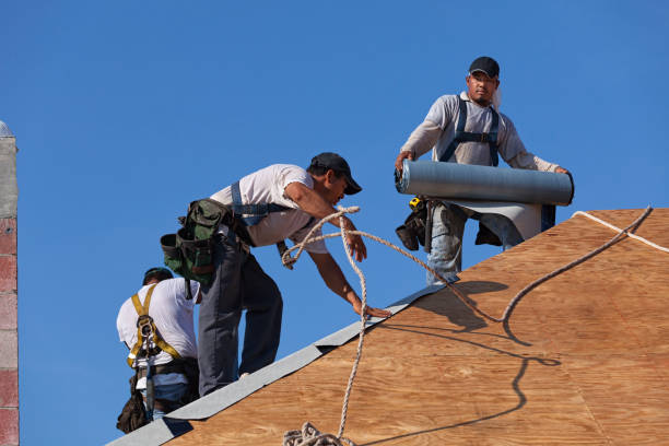 Quick and Trustworthy Emergency Roof Repair Services in Lake Sarasota, FL